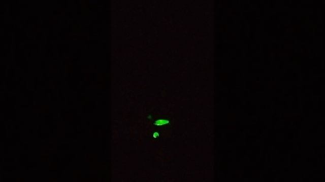 световые эффекты со святящимися булавами 26.11. 23. смотреть онлайн