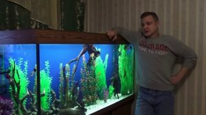Аквариум,советы начинающим. Выпуск-2: грунт в аквариуме