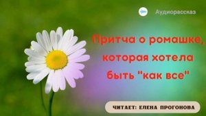Притча о ромашке, которая хотела быть "как все".