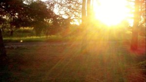 Выздоровление через кризис.