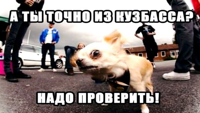 Междуреченск - Страна, где теплые дожди