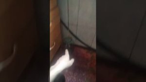 Конденсат стекает на подоконник, как бороться.