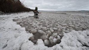 Lake Michigan Ice Balls ...