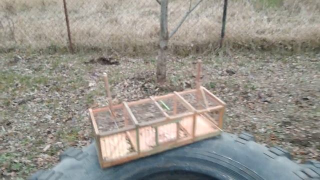 Ловля синиц на западок. смотреть онлайн