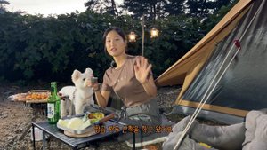 【애견동반 캠핑】 나홀로 숲속에서 고삐 풀린 날 / 당장 소주 까서 들어왓!?? / 그리들 삼겹살?? / 무창포 솔원캠핑장 / 솔로캠핑 / Solo Camping
