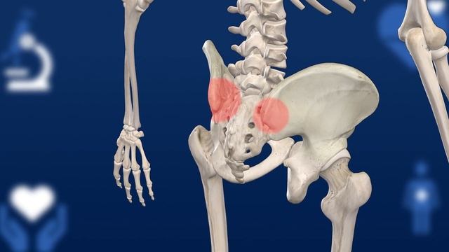 Пояс от боли в крестцово-подвздошном суставе (КПС) смотреть онлайн