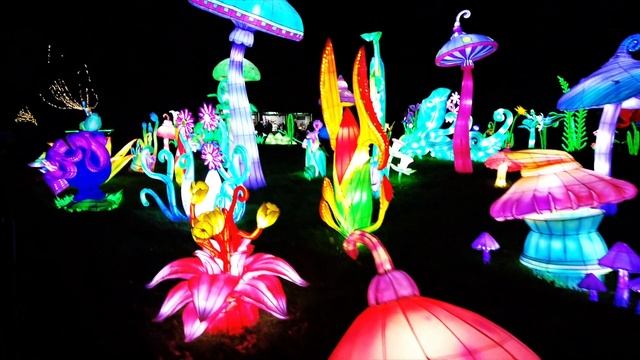 Ирландия / Дублин - Световое шоу / Wild Lights at Dublin Zoo 2023