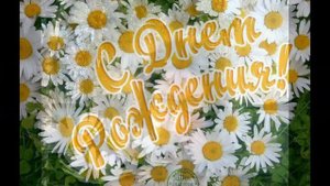 Ромашка белая. группа Экспресс