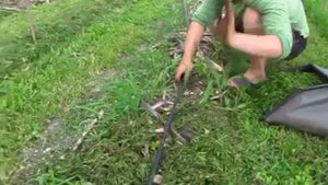 Умный огород. Что это такое и в чем его преимущества