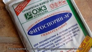 Чем обработать белый налет на листьях смородины: химические препараты и народные средства