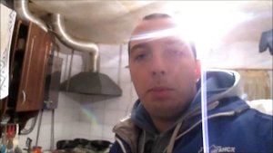 Кролик Советская Шиншилла чистый вес  в 1 год!