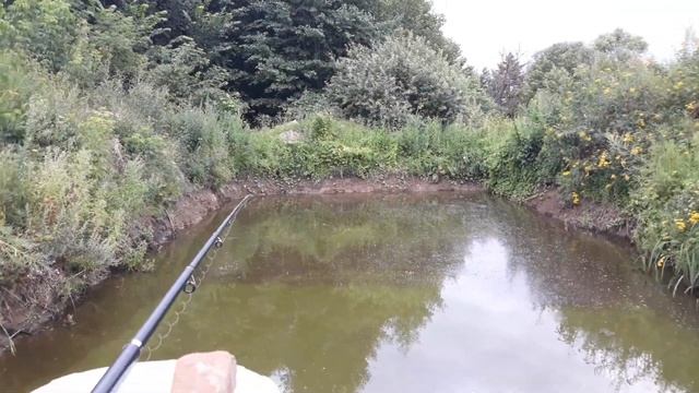 Большой выпуск. Рыбалка на клариевого сома. Смотреть до конца. смотреть онлайн