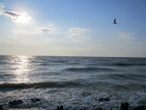 Азовское море - Таганрогский залив - Ейский лиман.