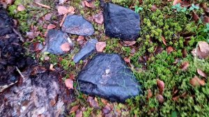 я был в шоке от этой находки Искал метал а нашёл метеорит!!!