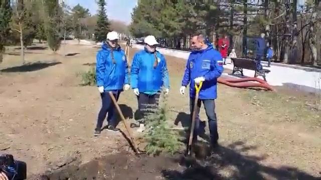 Космонавт Антон Шкаплеров сажает дерево на Сапун-горе