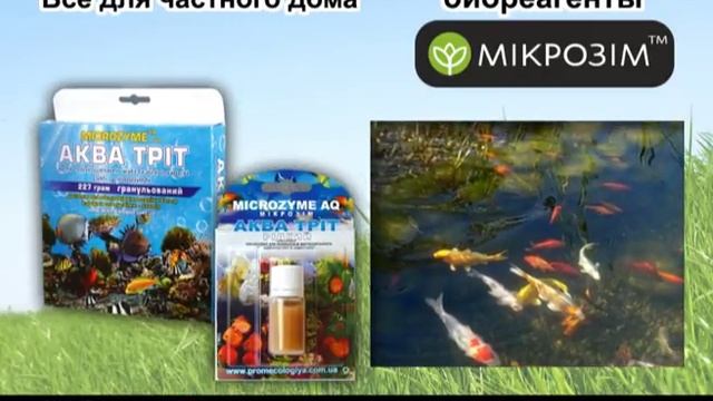 Биореагенты MICROZYME, общая презентация смотреть онлайн