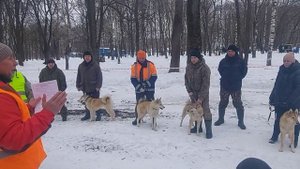 Вологодская областная выставка/Суки младшая возрастная группа ЗСЛ!