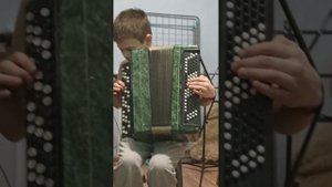 вариации не летай соловей на баяне