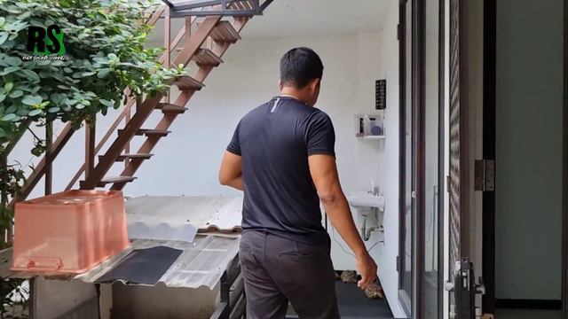 PERTUMBUHAN KURA - KURA LAMBAT AKIBAT BLADDER STONE !! Bagaimana Agar Sulcata Terhindar Dari "BS" смотреть онлайн