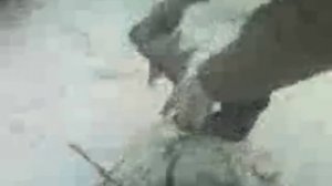 Рыбалка сачком))