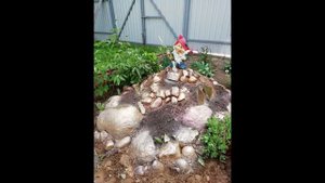 Альпийская горка своими руками!!!Быстро,Красиво!