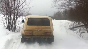 серемо,лес,щука