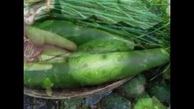 экзотические овощи