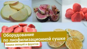 Лиофилизация - получение сублимированных продуктов