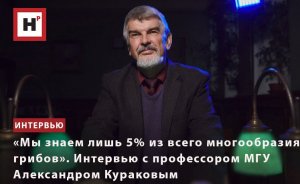 «МЫ ЗНАЕМ ЛИШЬ 5% ИЗ ВСЕГО МНОГООБРАЗИЯ ГРИБОВ». ИНТЕРВЬЮ С ПРОФЕССОРОМ МГУ АЛЕКСАНДРОМ КУРАКОВЫМ