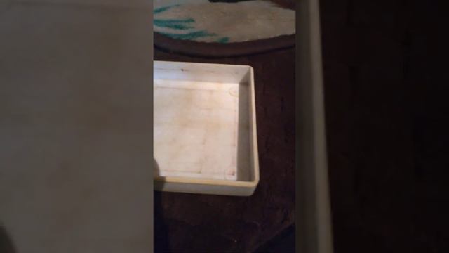 Я играю в домино смотреть онлайн