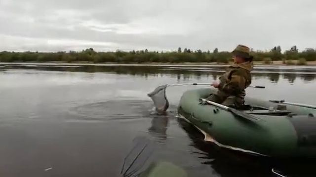 Как ловлю лещей на Вычегде смотреть онлайн