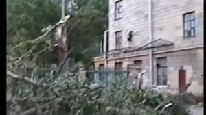После урагана в Москве 1998 г.