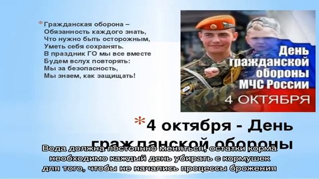 Зная точно чем кормить гусят с первых дней жизни можно вырастить здоровое поголовье
