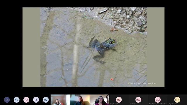 Clean Water Conversation: Water is Life with Abenaki Artists Association смотреть онлайн