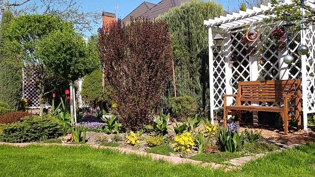 Цветёт сакура. Прогулка по саду. смотреть онлайн