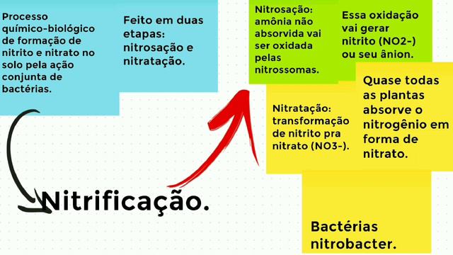 FEIRA DE CIÊNCIA LSPN ONLINE - A CARA DA CIÊNCIA смотреть онлайн