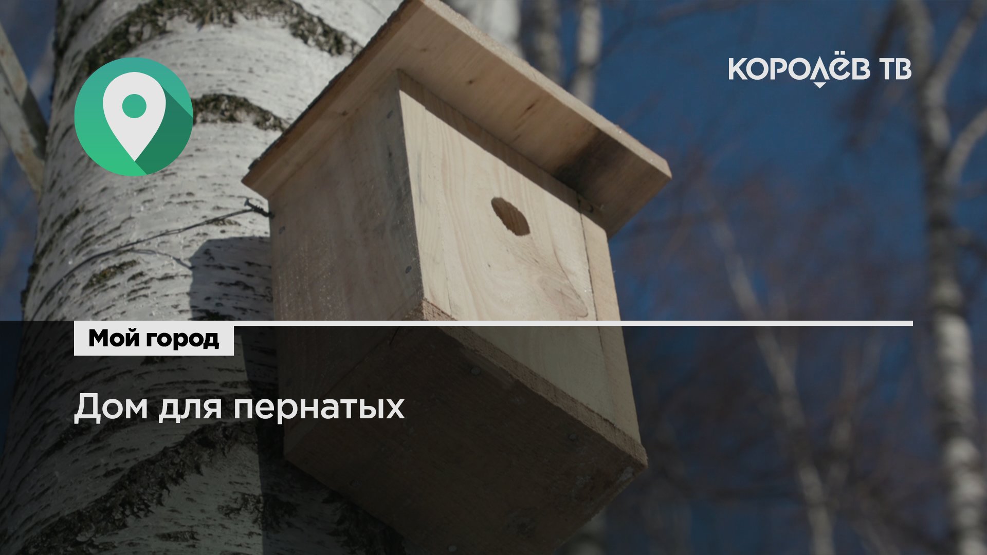 Скворечники