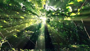 лечебная музыка для сердца и сосудов 🌿 успокаивает нервную систему и радует душу, Нежная музыка #7