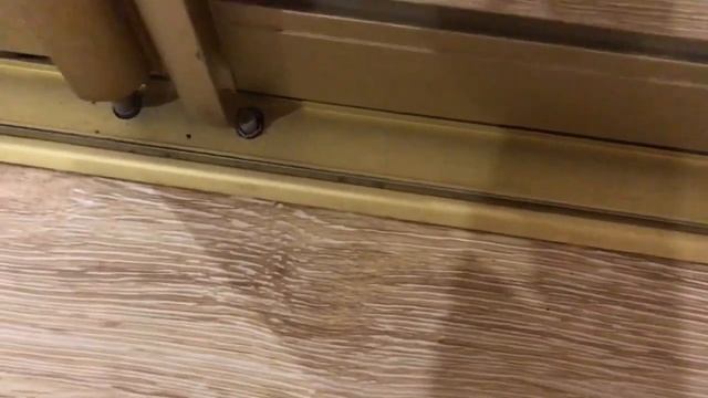 ЖИЗНЬ ХОЗЯЕВ ЛАБРАДОРА | лабрадор: за и против смотреть онлайн