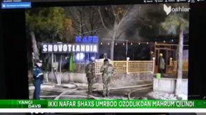 Шовотландия иши