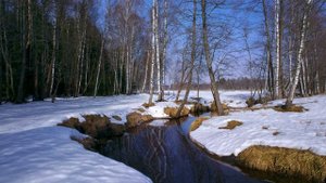 Футаж. Весенний пейзаж 1