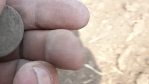 Неожиданно!! Капустное поле. Коп Казань. Коп Татарстан.