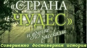 Совершенно достоверная история/Протоиерей Андрей Ткачев/Рассказ из книги Страна чудес и др. рассказ