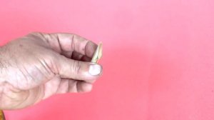 Кукурузка Грушка Пуля приманка для ловли Карпа Карася Судака Щуки Сома