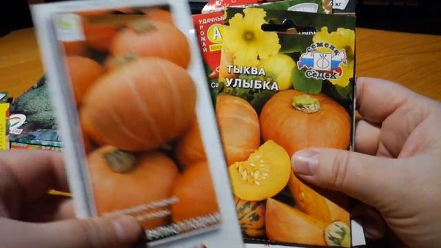 Капуста, кабачки, тыквы и фасоль на 2022 год