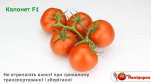 КАПОНЕТ F1 - Томат Напівдетермінантний, Syngenta
