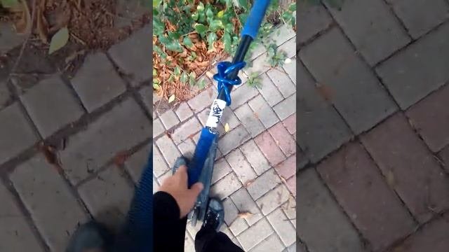 странный бомж #следим за бомжом #Белгород