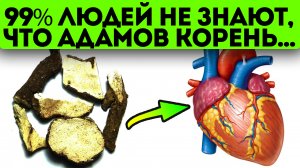 Открыт исцеляющий эффект! Поэтому Адамов корень такой ценный у иностранцев