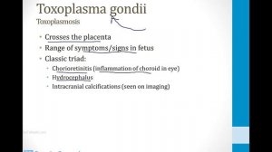 Infectious Diseases - 5. Parasites and Helminths - 2.Protozoa atf