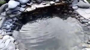 Ландшафтный дизайн, водопад, ручей! Зелёный газон своими руками.